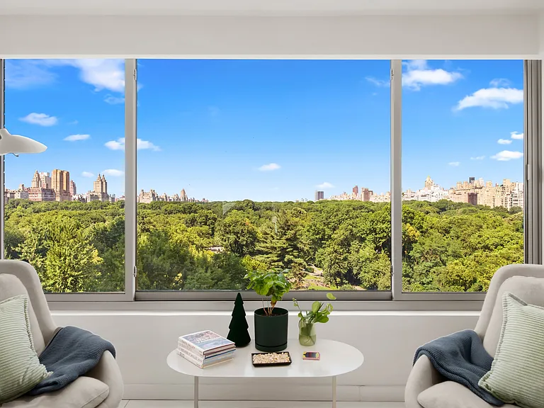 116 Central Park S #11N — Photo 3