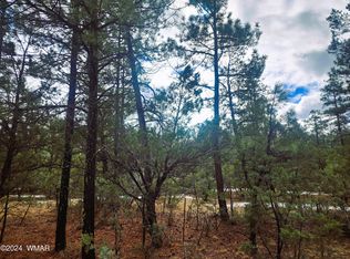 5197 Hilltop Dr, Lakeside, AZ 85929