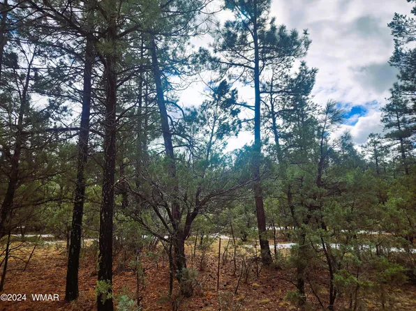 5197 Hilltop Dr, Lakeside, AZ 85929