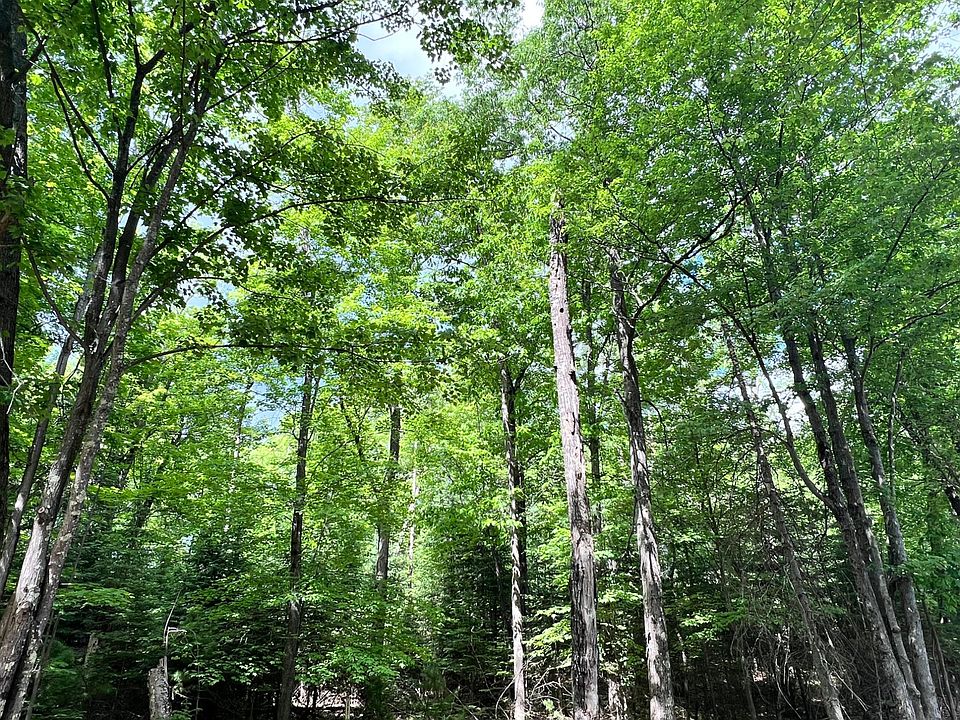 1st image of LOT 32 White Pine Loop