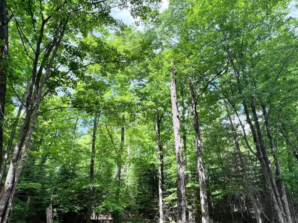 LOT 32 White Pine Loop, Eagle River, WI 54521