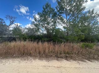 Highlands Park Est Sec D, Lake Placid, FL 33852