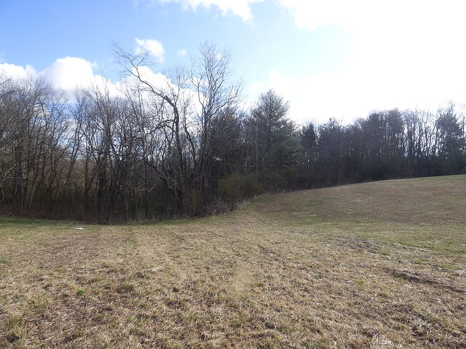 2nd image of Chinquapin