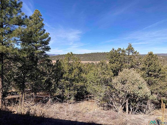 5th image of 24 Talavera Ln