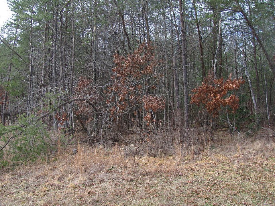2nd image of 103 Forest Hill Dr