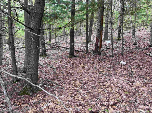 Lot 81 Plumer Hill Road, Alexandria, NH 03222