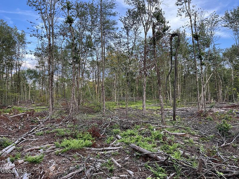 5th image of 192 Crandall Road