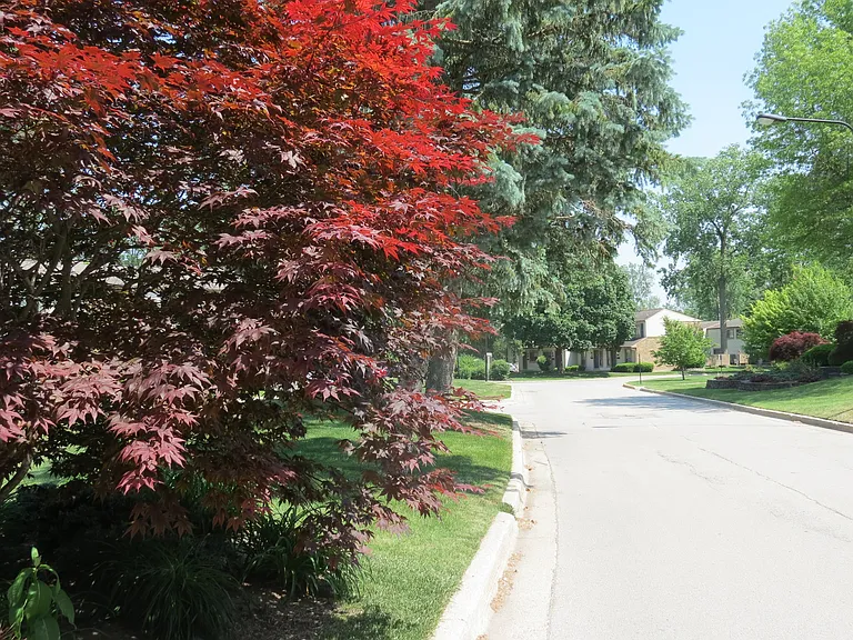 Forest Glen Townhomes — Photo 20