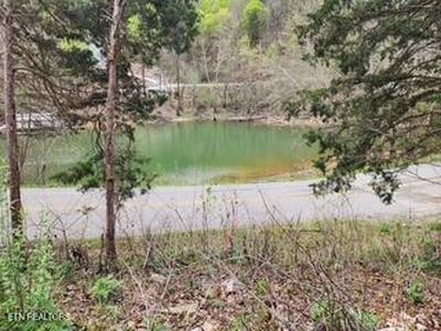 Flat Hollow Rd, Speedwell, TN, 37870