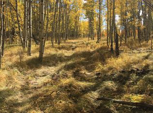 507 Lumber Jack Rd, Fairplay, CO 80440