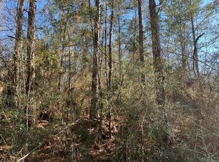 LOT 197 Woodland Dr, Lumberton, MS 39455
