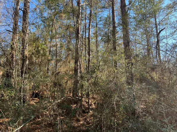 LOT 197 Woodland Dr, Lumberton, MS 39455