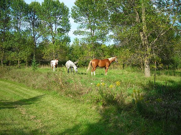 Front view across road with 