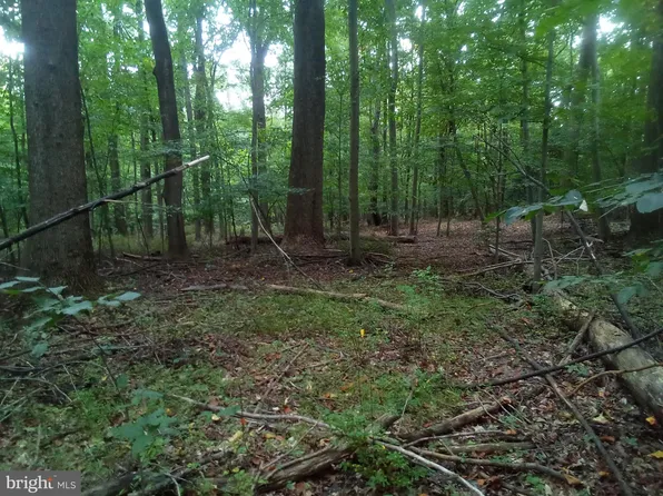 Belvidere Rd, Pt Deposit, MD 21904