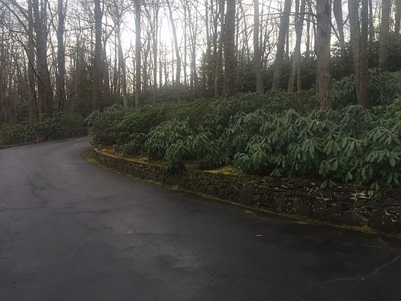 3rd image of 616 Sabine Dr