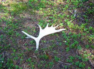 X Upper Pack River Rd, Sandpoint, ID 83864