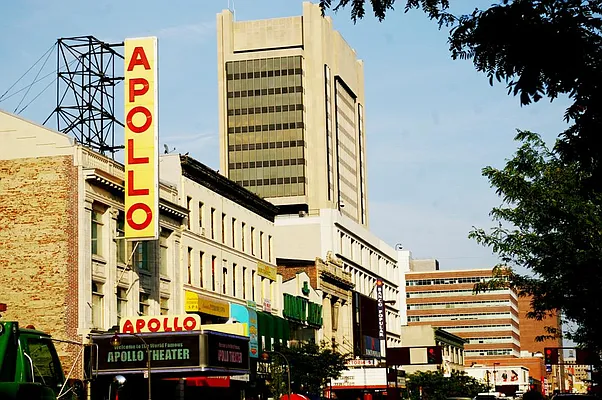 Rented by Bond New York | media 12