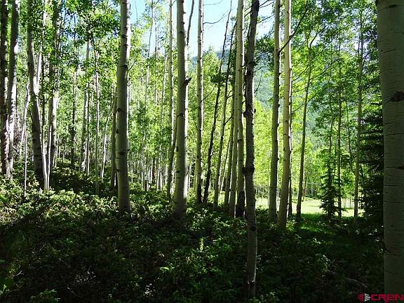 5th image of Parcel 4 County Road 20