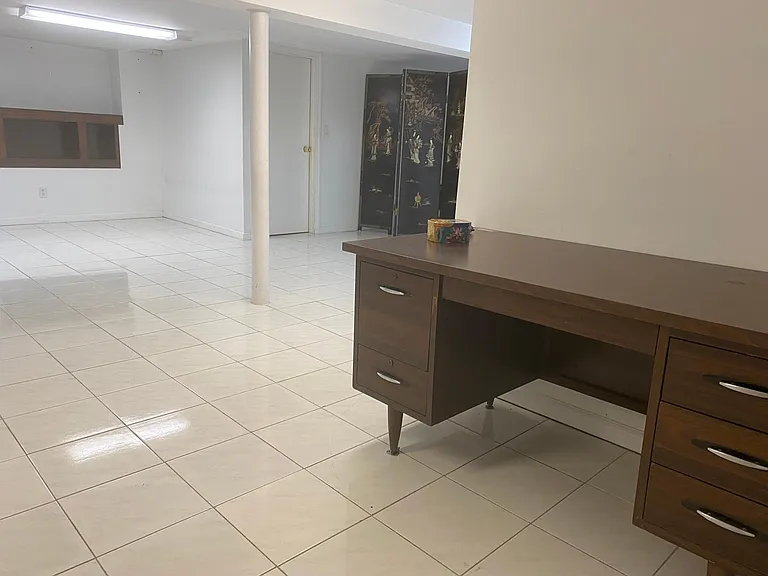Basement with office desk