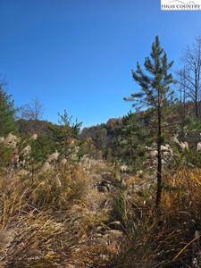 TBD Browntown Road, Millers Creek, NC, 28651