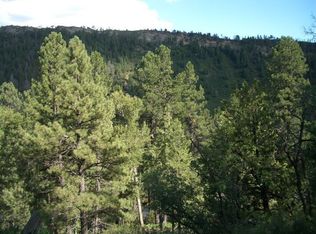 13 Antero Ave, Durango, CO 81301