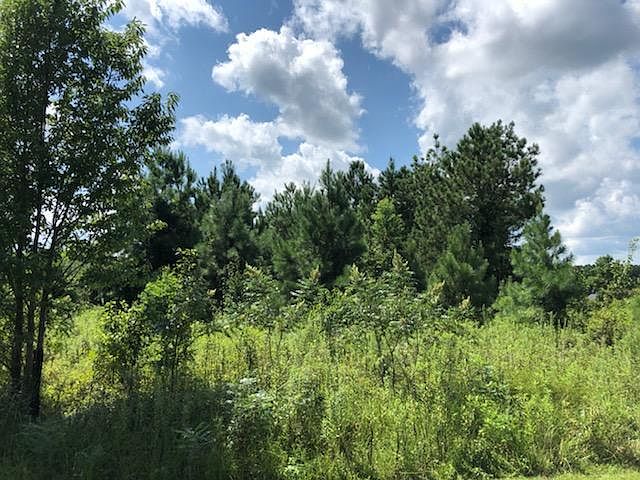 1st image of 435 E Emerald Lake Dr