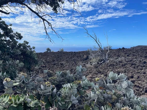 92-8477 Hibiscus Ave Lot 1, Captain Cook, HI 96704