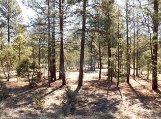 2905 Lodgepole Rd, Overgaard, AZ 85933