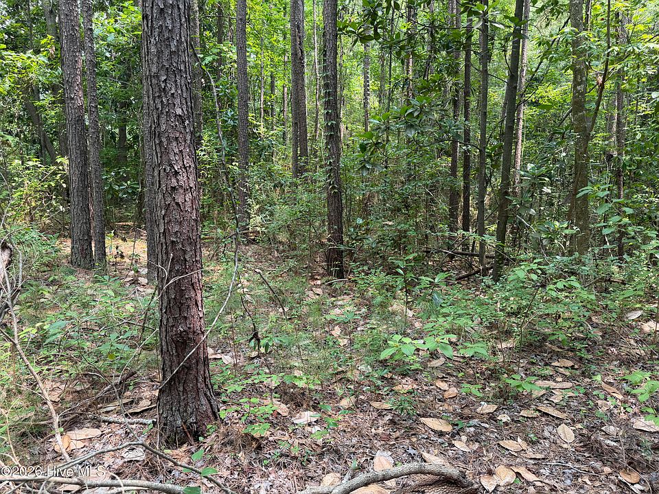 2nd image of 1199 Green Springs Rd Lot 8