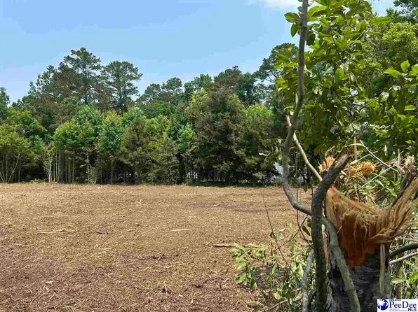 430 Alane St, Lake City, SC 29560