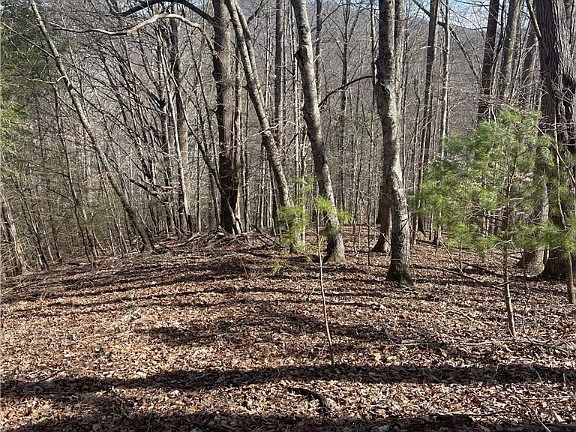 4th image of Lot 9 W Point Drive