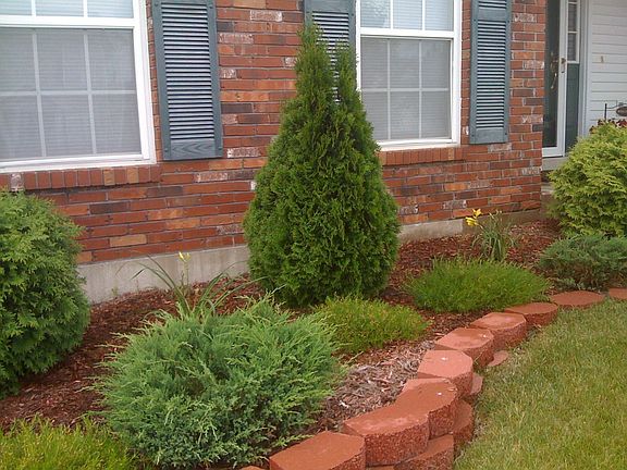 Front landscaping close up