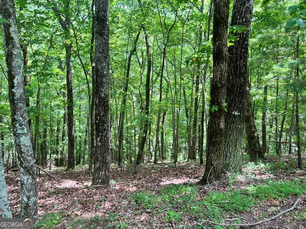 LOT G667-G68 Mountain Oak Rd, Ellijay, GA 30536