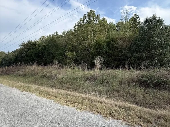 449 Saint John Rd Lot 449, Denmark, TN 38391