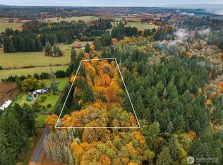 504 Telegraph Rd, Toledo, WA 98591