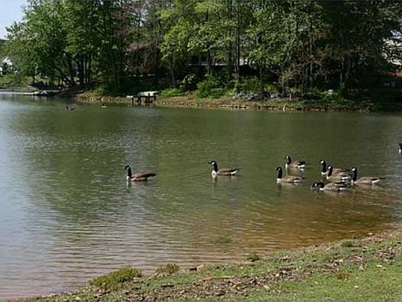 lake