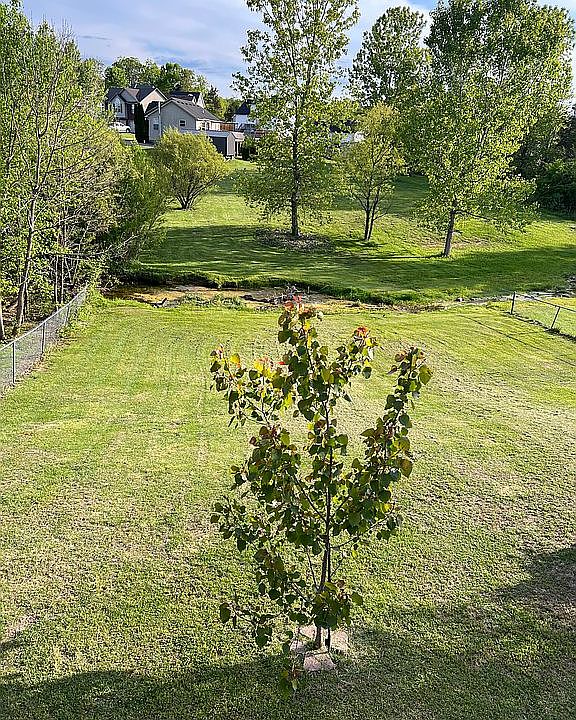 2nd image of 153 Berger Farm Dr