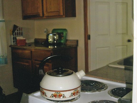 Kitchen with updated cabinet