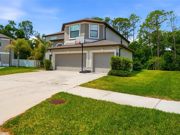 6563 Paden Wheel St, Zephyrhills, FL 33541