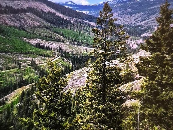 5th image of Nna All Seasons Rd