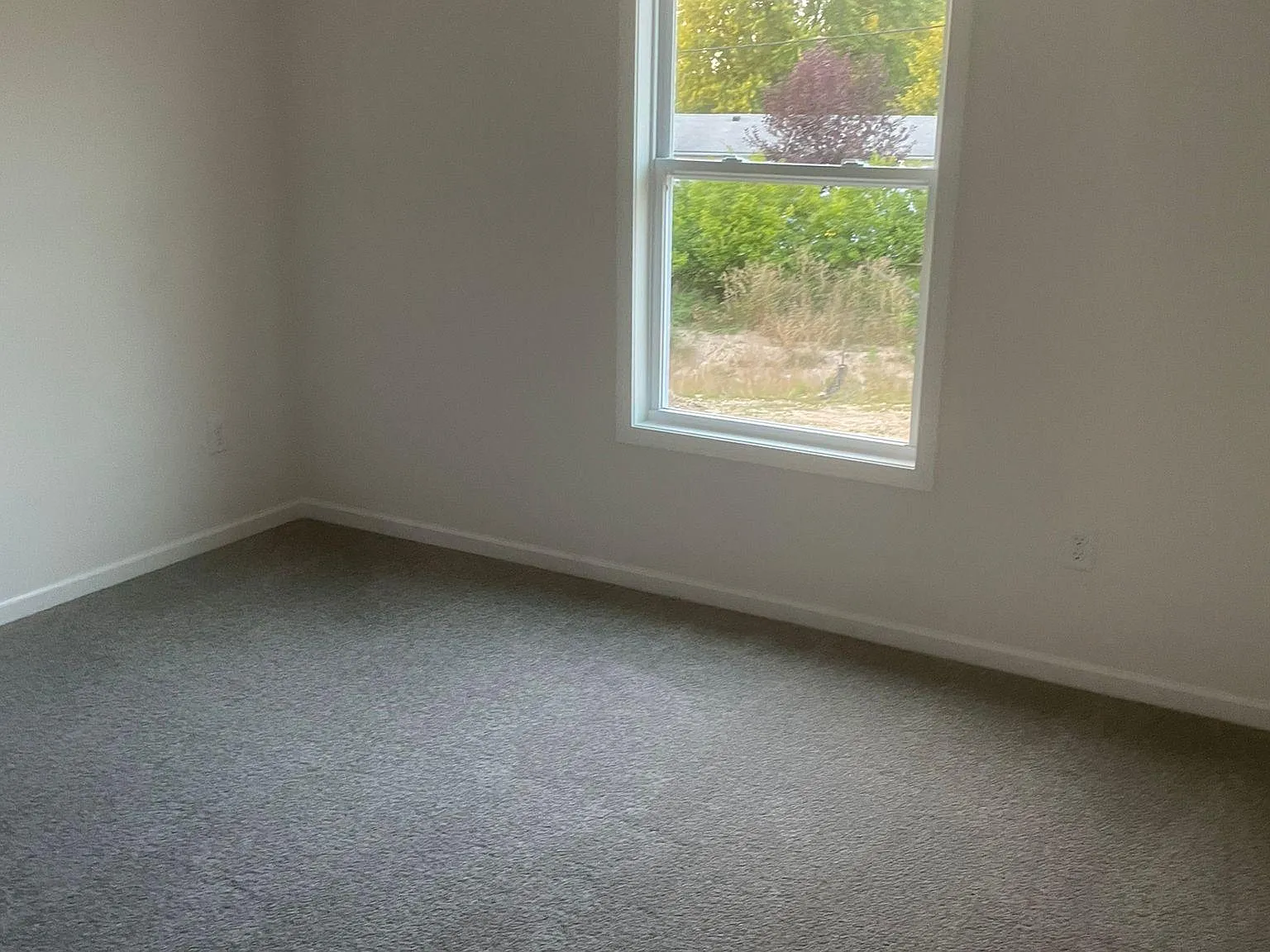 1384 Verdigris Pass — Photo 4