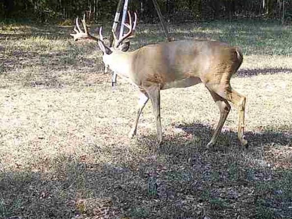 1191 County Road 2250, Ivanhoe, TX 75447