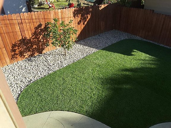 Peter friendly back yard