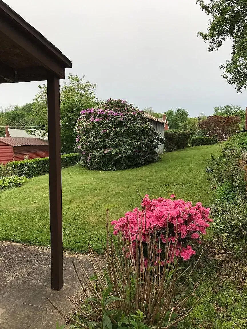2 bed, 728 sqft, $1,250 — Photo 3