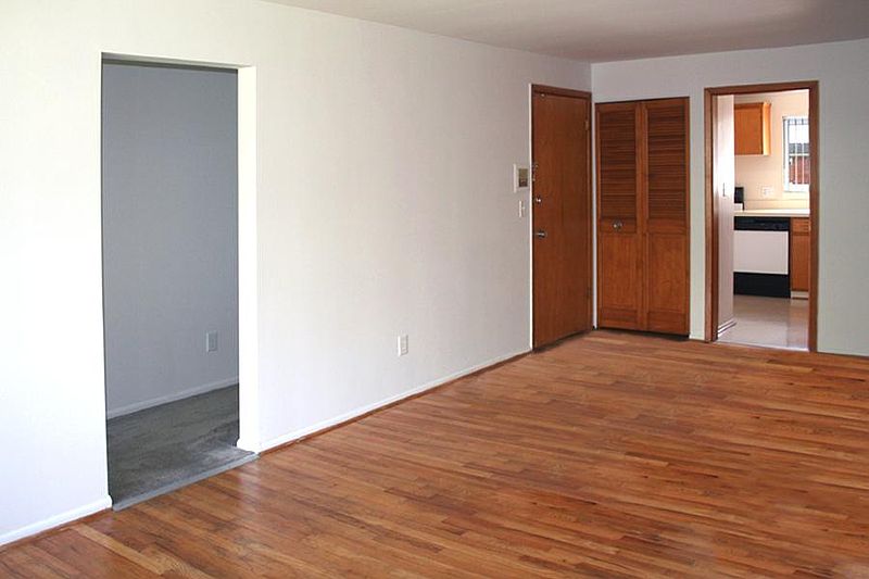 Amber S Starr Apartment Rentals With Virtual Tours Royal Oak Mi Zillow