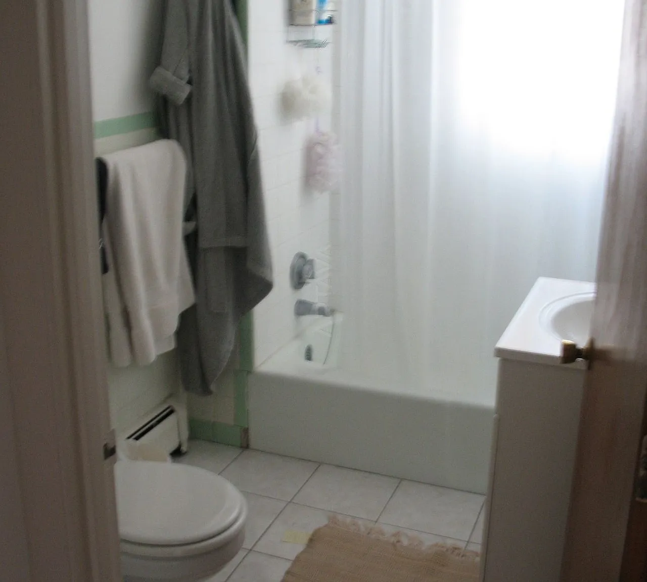 1 bed, 580 sqft, $2,700 — Photo 4