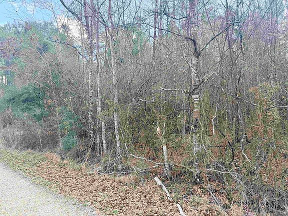 4th image of Highway 1036