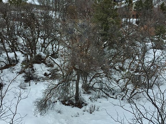 View from Dining Room