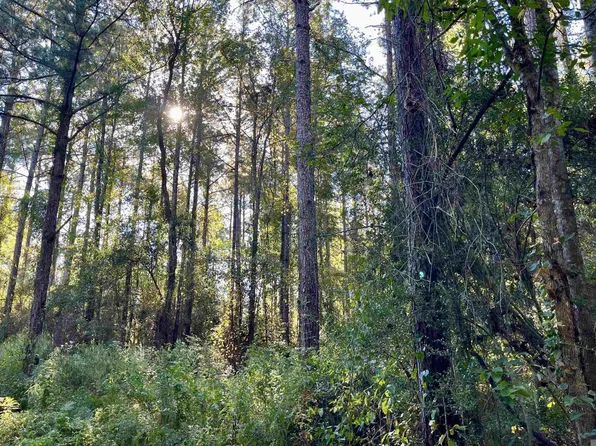 16 Hall And Lindsey Rd, Greensburg, LA 70441