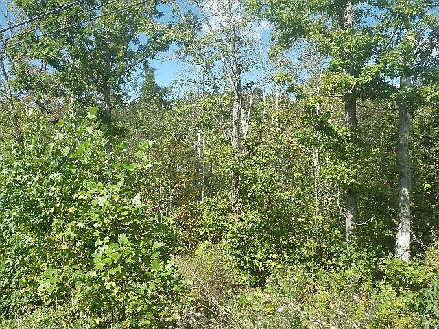 1st image of Crossville Hwy